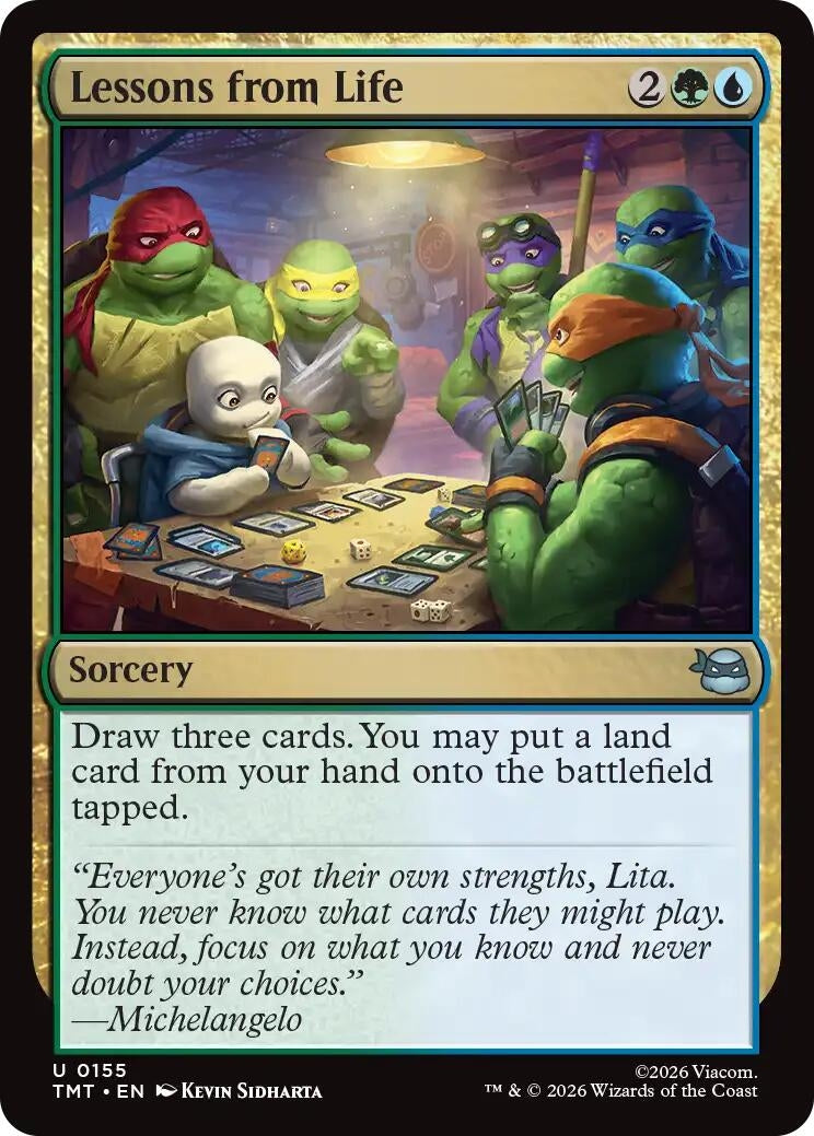 Lessons from Life (Teenage Mutant Ninja Turtles) (155)
