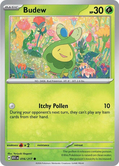 Budew (ME: Ascended Heroes) (016/217)