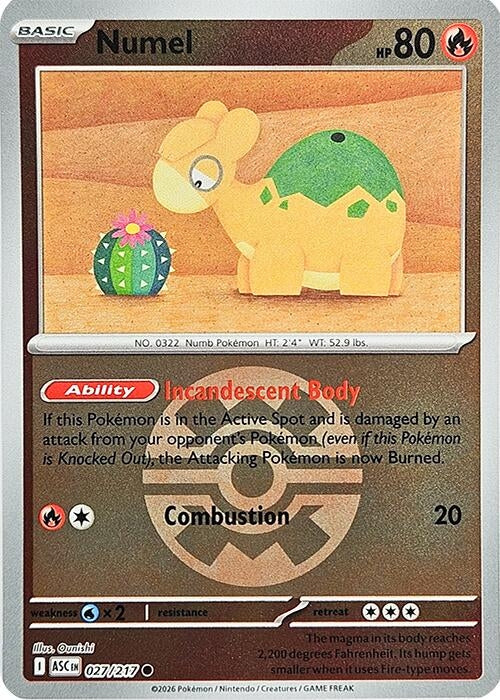 Numel - 027/217 (Quick Ball) (ME: Ascended Heroes) (027/217)