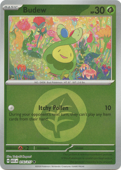 Budew - 016/217 (Energy Symbol Pattern) (ME: Ascended Heroes) (016/217)