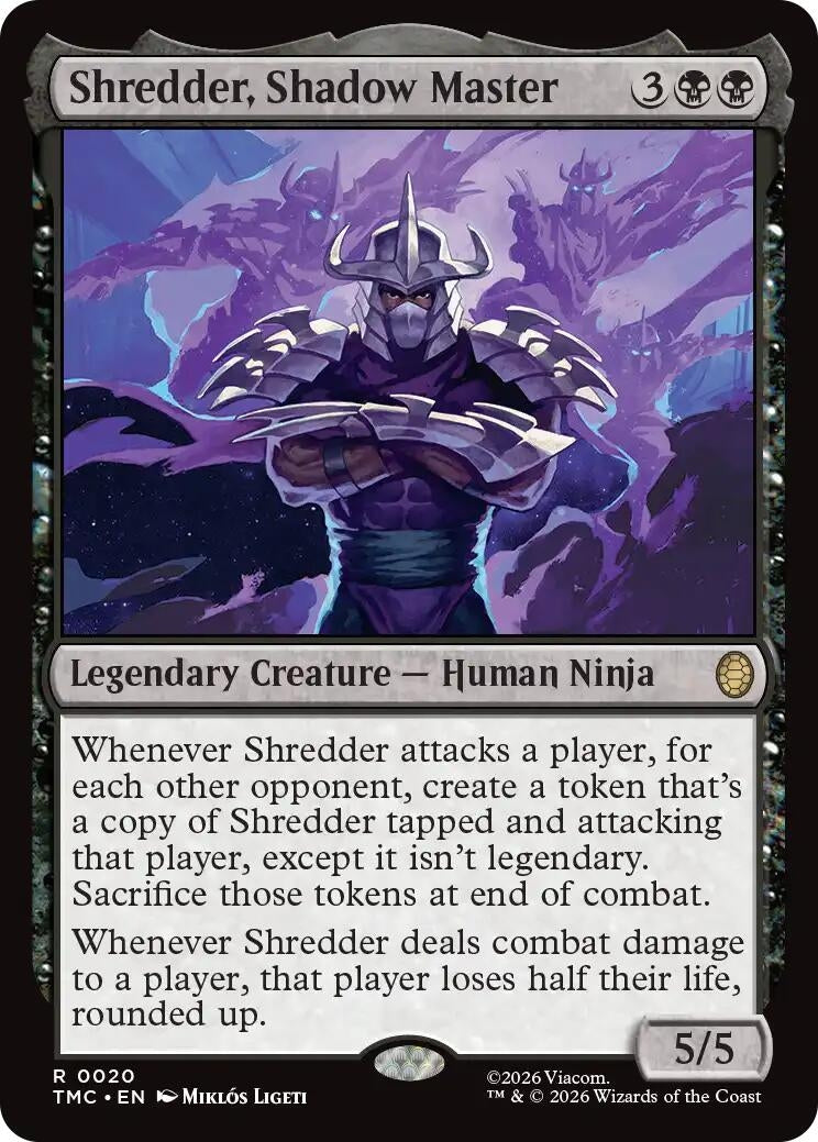 Shredder, Shadow Master (Teenage Mutant Ninja Turtles) (20)