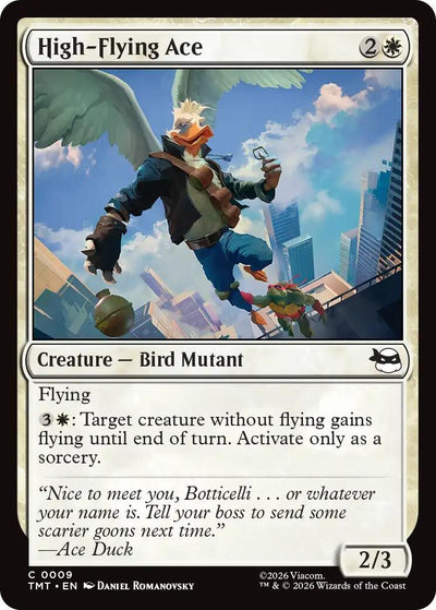 High-Flying Ace (Teenage Mutant Ninja Turtles) (9)
