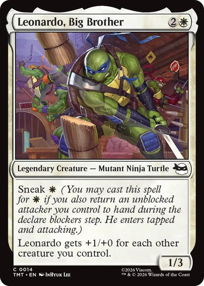 Leonardo, Big Brother (Teenage Mutant Ninja Turtles) (14)