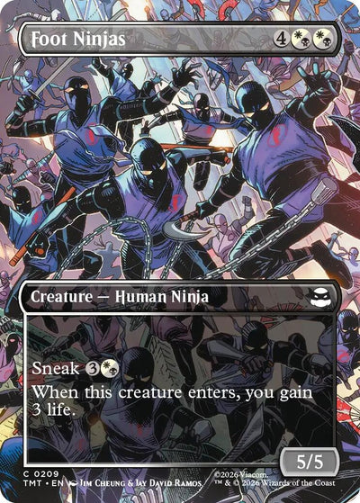 Foot Ninjas (Borderless) (Teenage Mutant Ninja Turtles) (209)