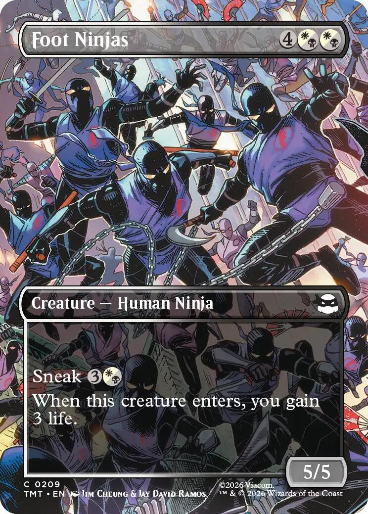 Foot Ninjas (Borderless) (Teenage Mutant Ninja Turtles) (209)