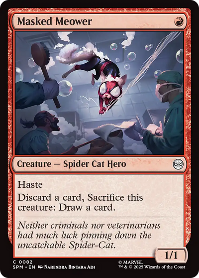Masked Meower [Marvel's Spider-Man]